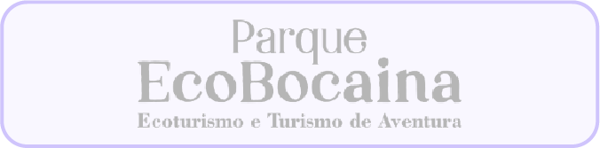 Ecobocaina W