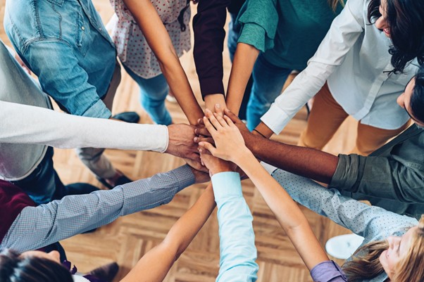Empowering Growth: HippoHub’s Comprehensive Training Program for KTC